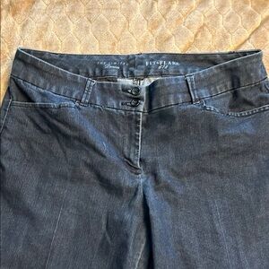 The Limited Dark Blue Flare Trouser Jeans